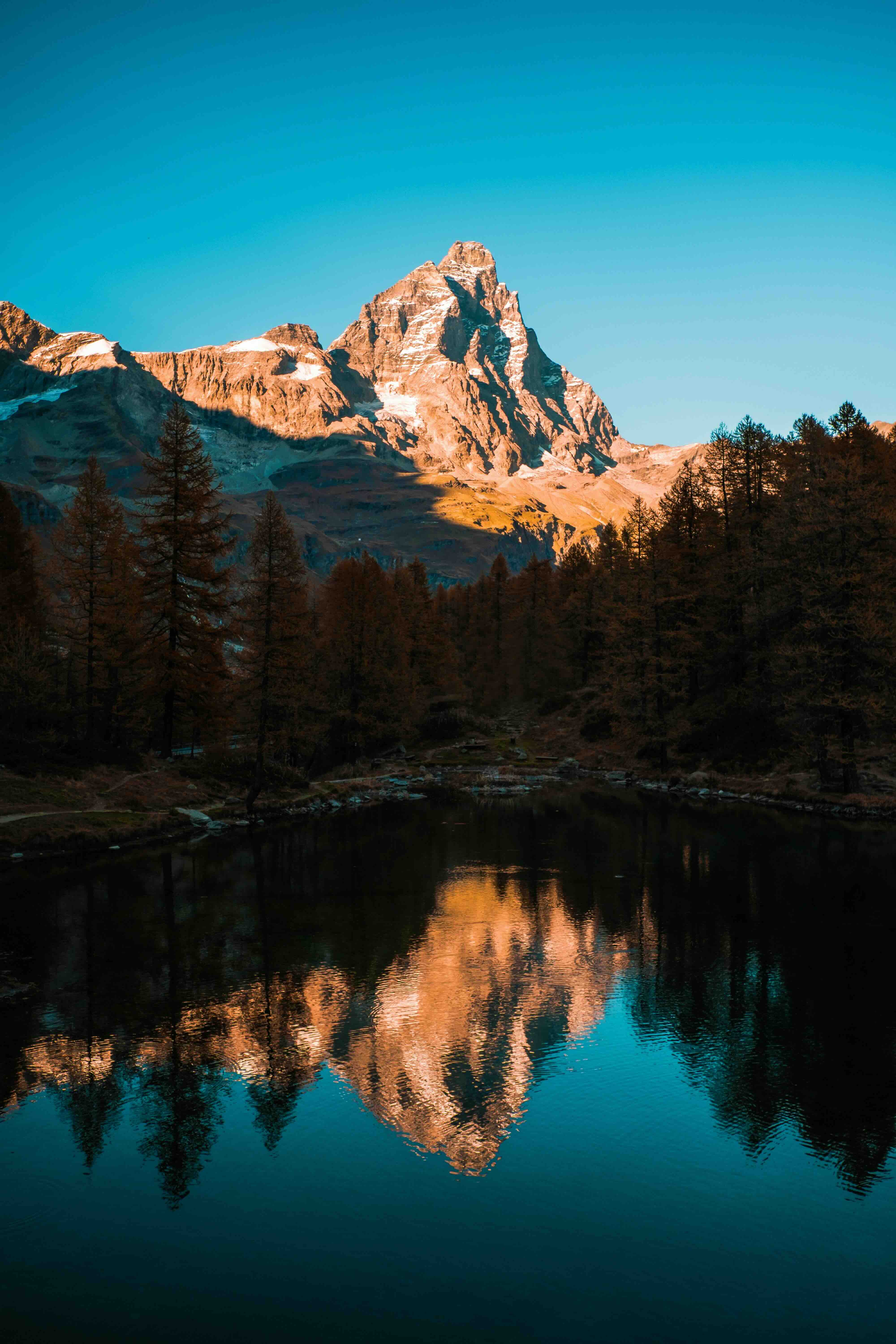 Runner on an alpine trail